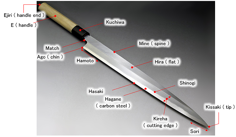 The Parts of a Kitchen Knife